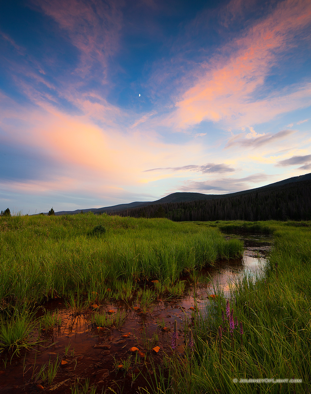 The Kawuneeche Valley is a marshy meadow area on the western side of Rocky Mountain National Park in Colorado. In the native Arapaho language Kawuneeche means valley of the coyote and indeed, many animals are found traveling through the valley. On this still July evening, there was a herd of elk that had quietly moved through and were eating on the trail. Not wanting to disturb them too much I kindly asked them to move as I slowly walked by. They obliged and I was on my way, as the last remnants of light illuminated the western edge of the clouds casting a dull glow across the meadow. - Colorado Picture